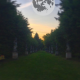Moon Day a Villa Breda